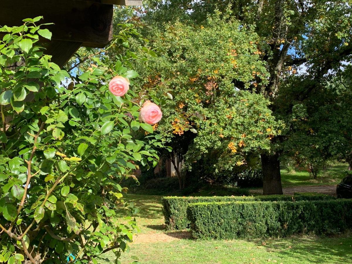 Sainte-Christie-d'Armagnac Majellon Grand Appartement מראה חיצוני תמונה